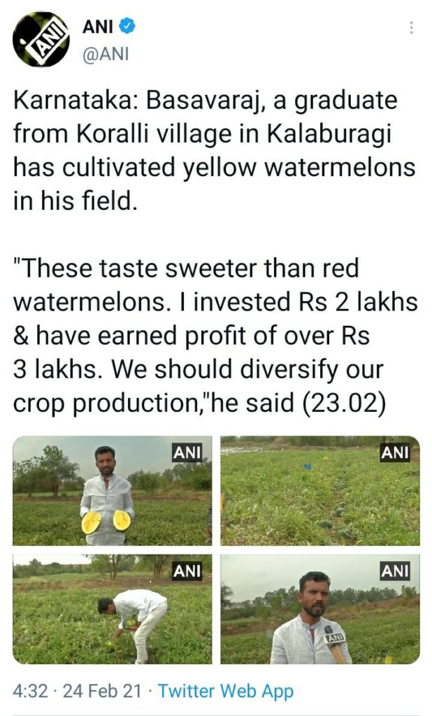 This yellow watermelon creating sensetion in social media