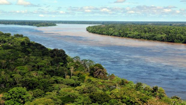 some amazing facts about Amazon Rainforest