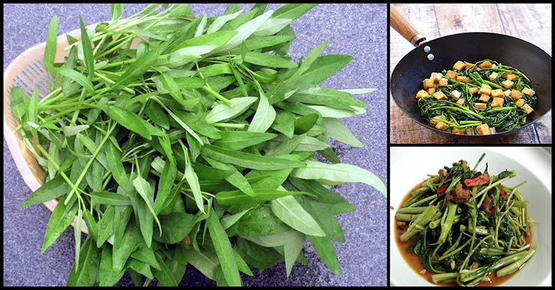 usefulness of Water spinach