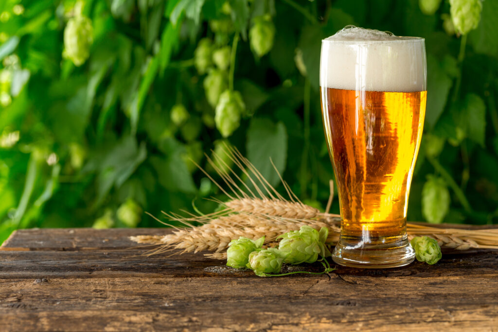 Carlsberg launch new type of beer for indian market